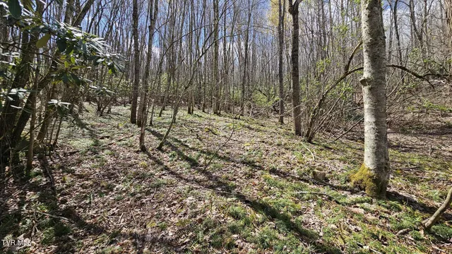 $185,000 | 4183 Stone Mountain Road, Coeburn, VA 24230