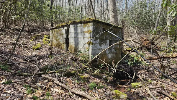 $175,000 | 4183 Stone Mountain Road, Coeburn, VA 24230