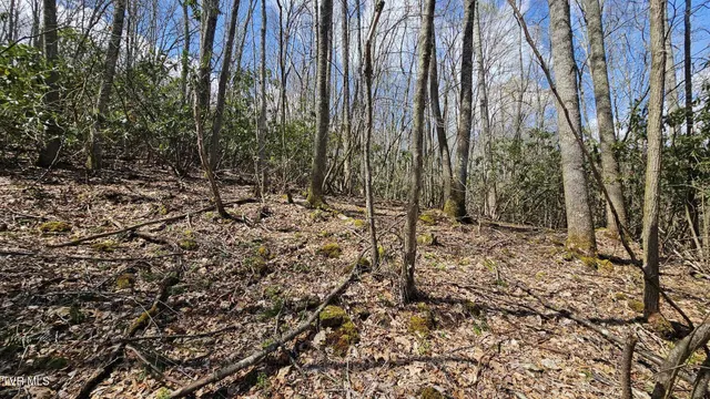 $185,000 | 4183 Stone Mountain Road, Coeburn, VA 24230