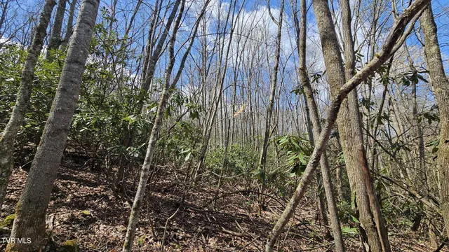 $185,000 | 4183 Stone Mountain Road, Coeburn, VA 24230