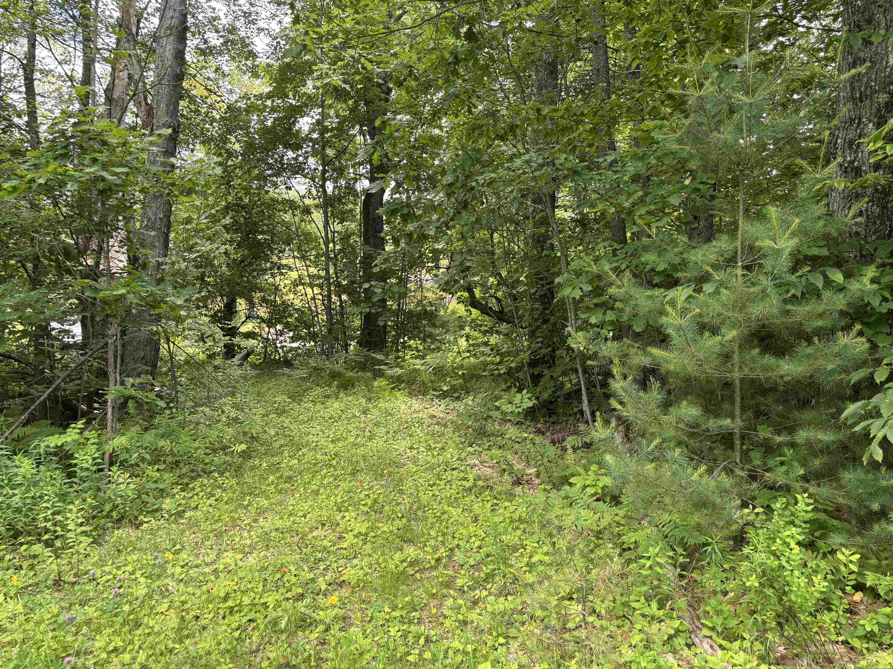 0 Simonsville Road, Unit LOT 3 Andover, VT 05143 - Photo 10 of 27