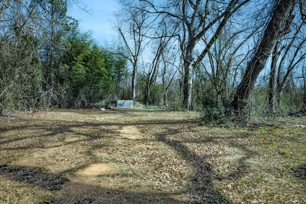 900 Asaville School Road Anderson, SC 29621 - Photo 8 of 29 This tranquil lot offers a natural, wooded setting, ideal for privacy and outdoor living.