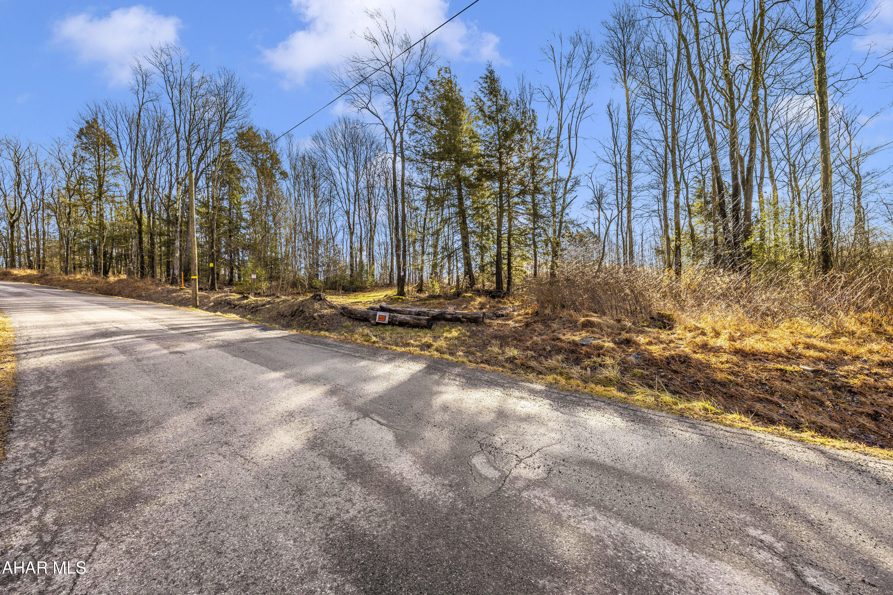 0 Lot 6 Mountain Road Road Lilly, PA 15938 - Photo 7 of 33