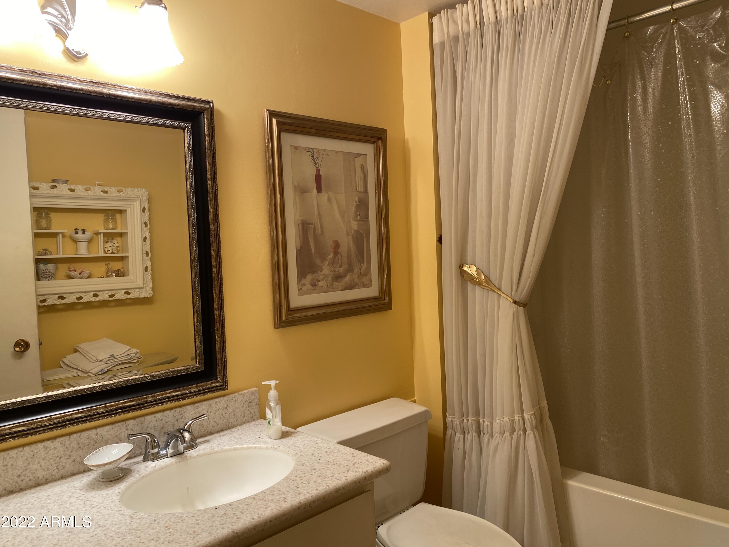 9807 West Mockingbird Drive Sun City, AZ 85373 - Photo 26 of 32 Full Bathroom