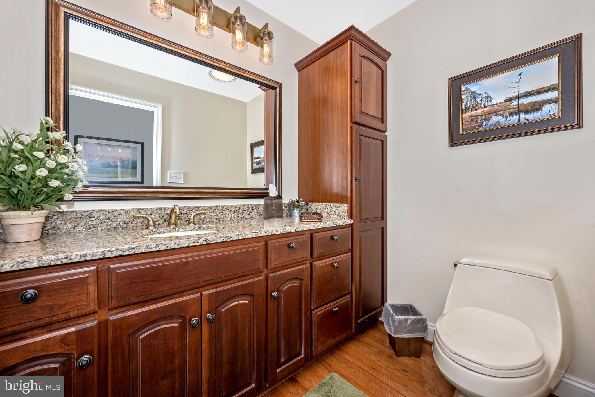 500 Morgan Station Road Woodbine, MD 21797 - Photo 47 of 79 Powder room full renovated
