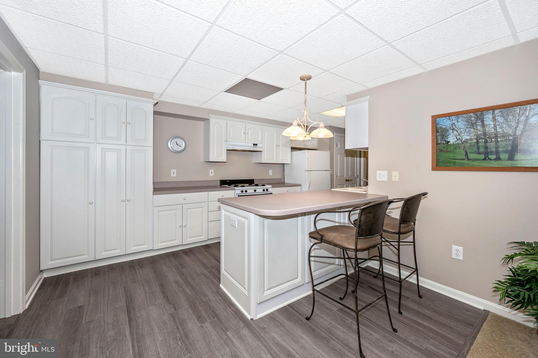 500 Morgan Station Road Woodbine, MD 21797 - Photo 60 of 79 Au pair with full kitchen