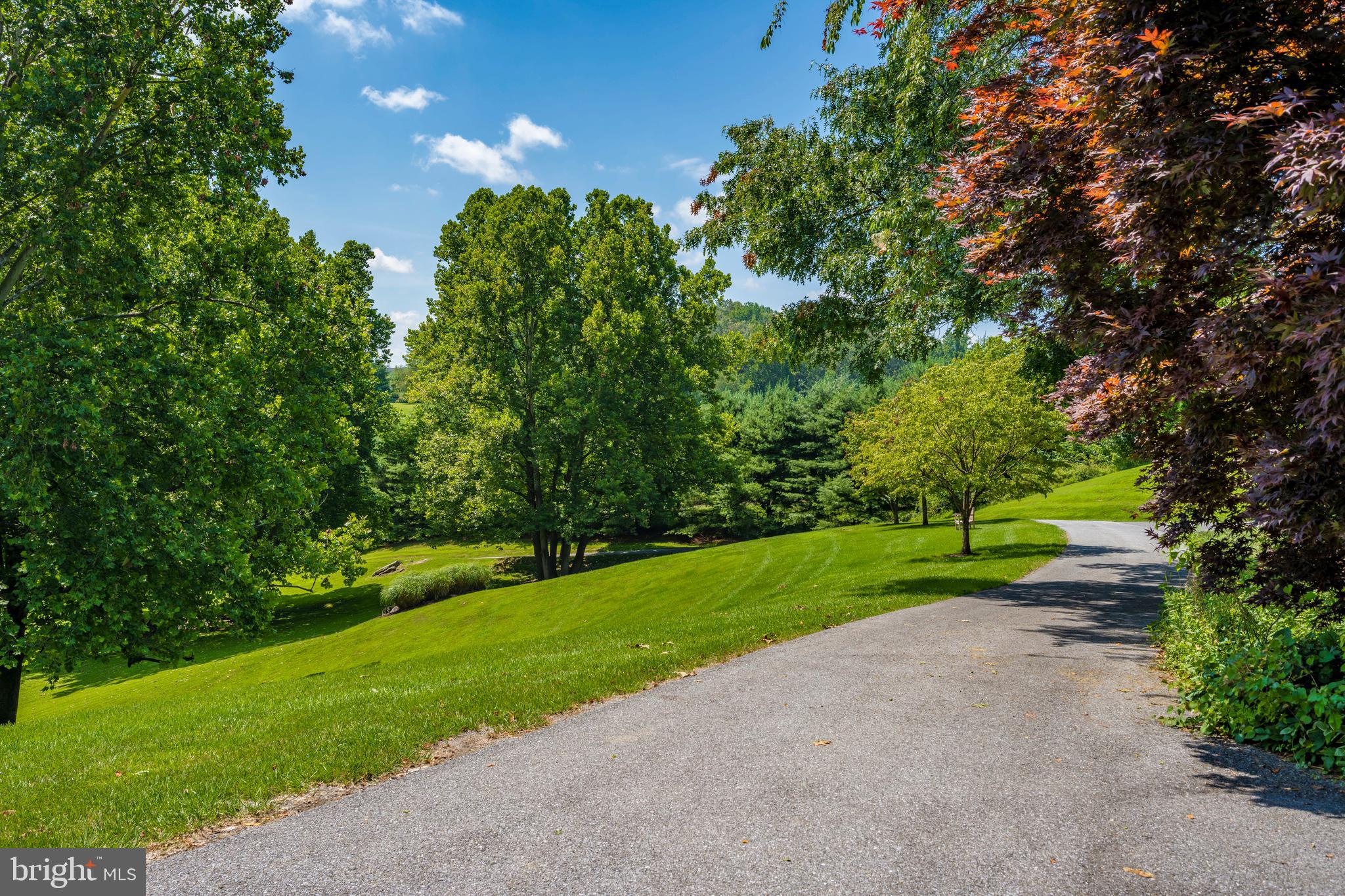 500 Morgan Station Road Woodbine, MD 21797 - Photo 67 of 79 Private setting