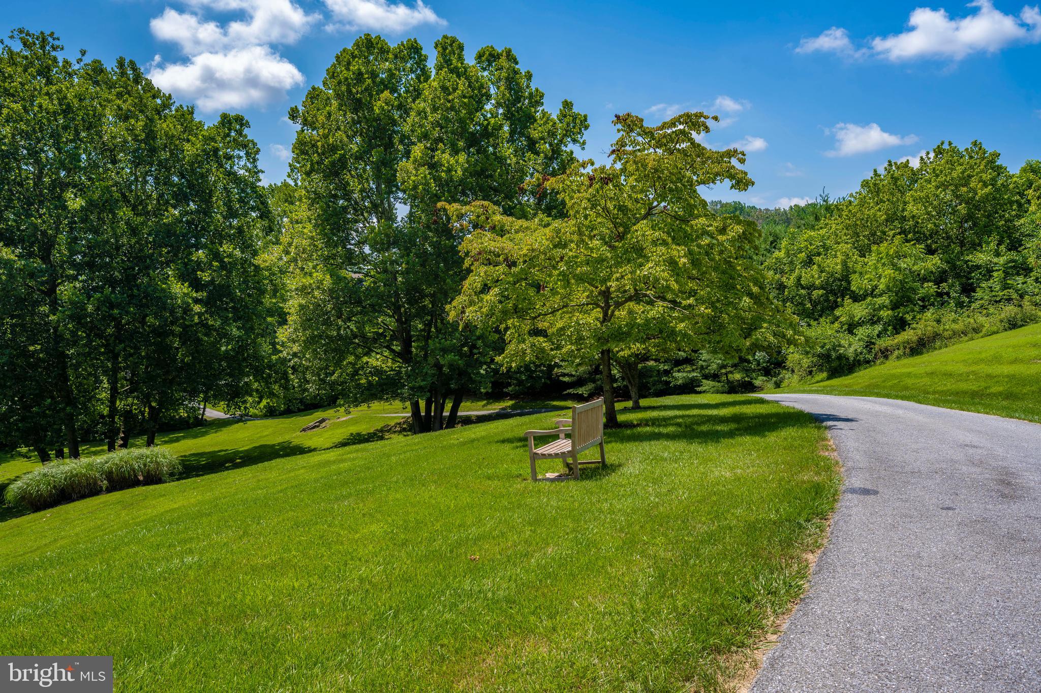 500 Morgan Station Road Woodbine, MD 21797 - Photo 68 of 79 Mature landscaping