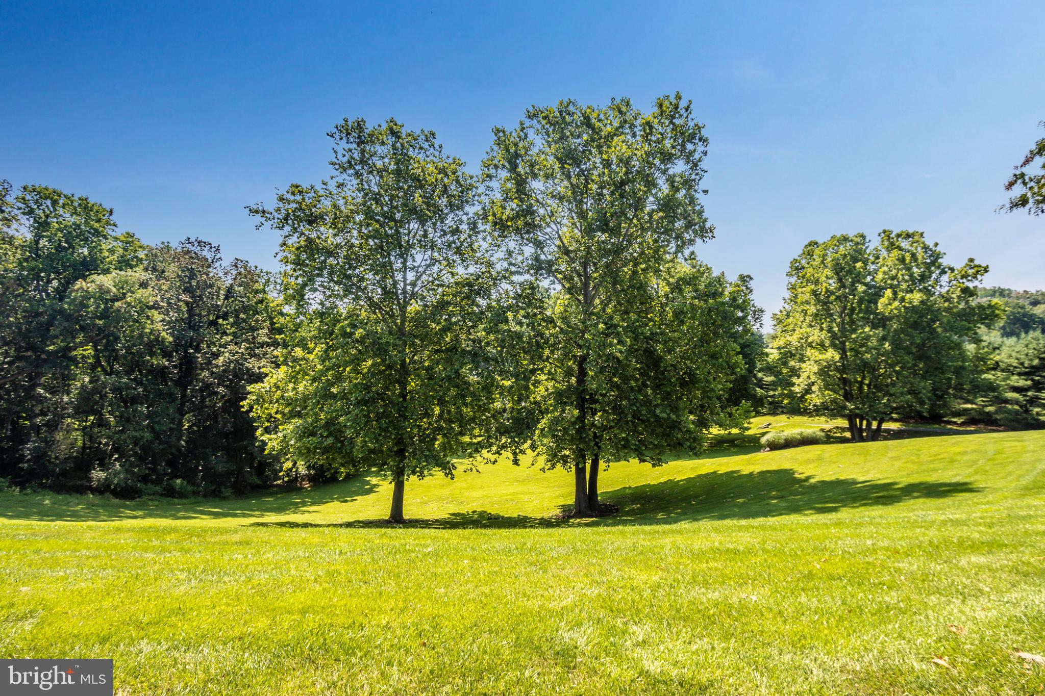 500 Morgan Station Road Woodbine, MD 21797 - Photo 69 of 79 Professional manicured yard