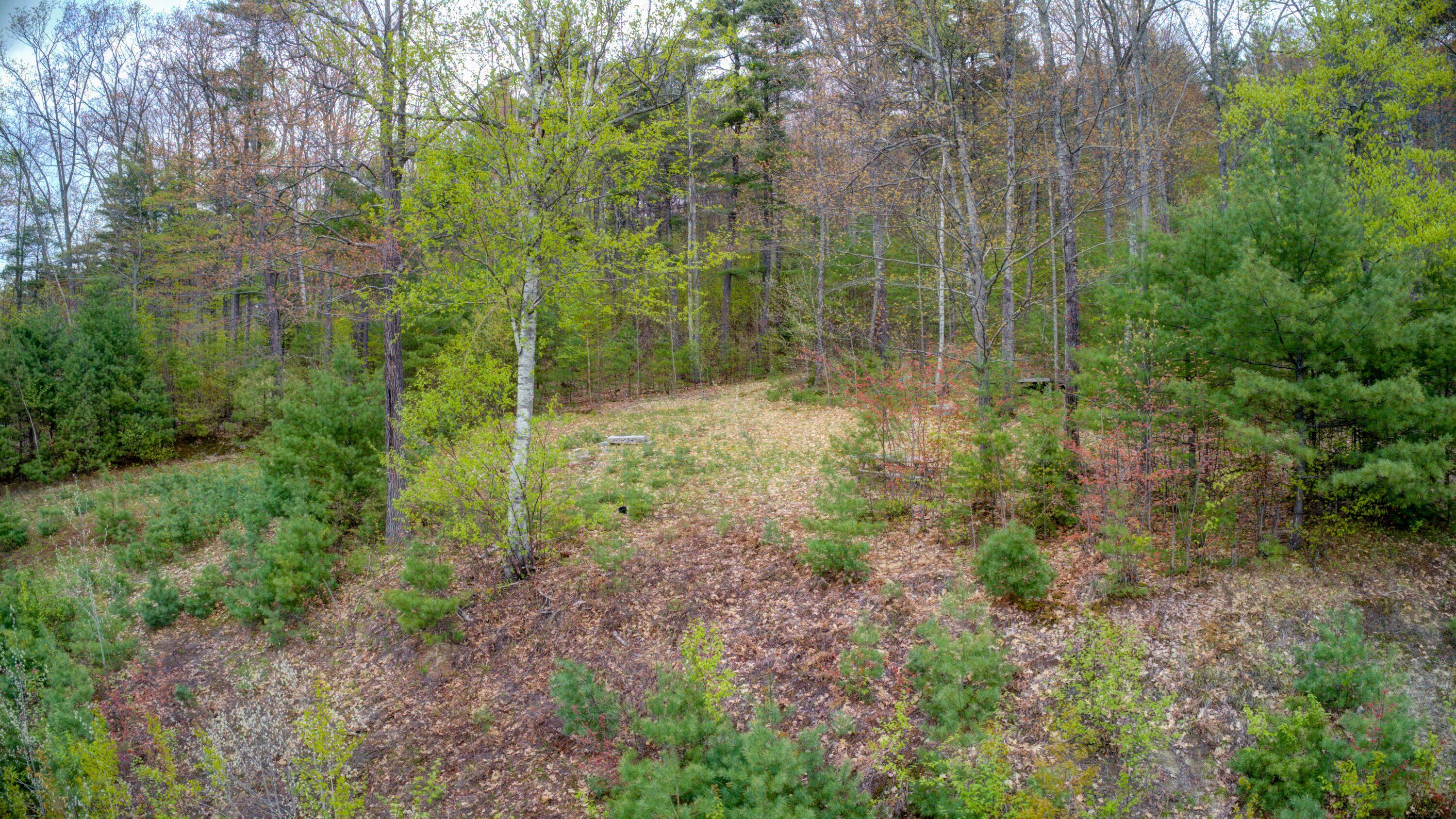 0 Carter Hill Road Fryeburg, ME 04037 - Photo 15 of 35 c15