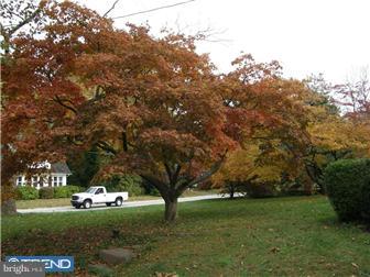 2782 Egypt Road Audubon, PA 19403 - Photo 8 of 9 View