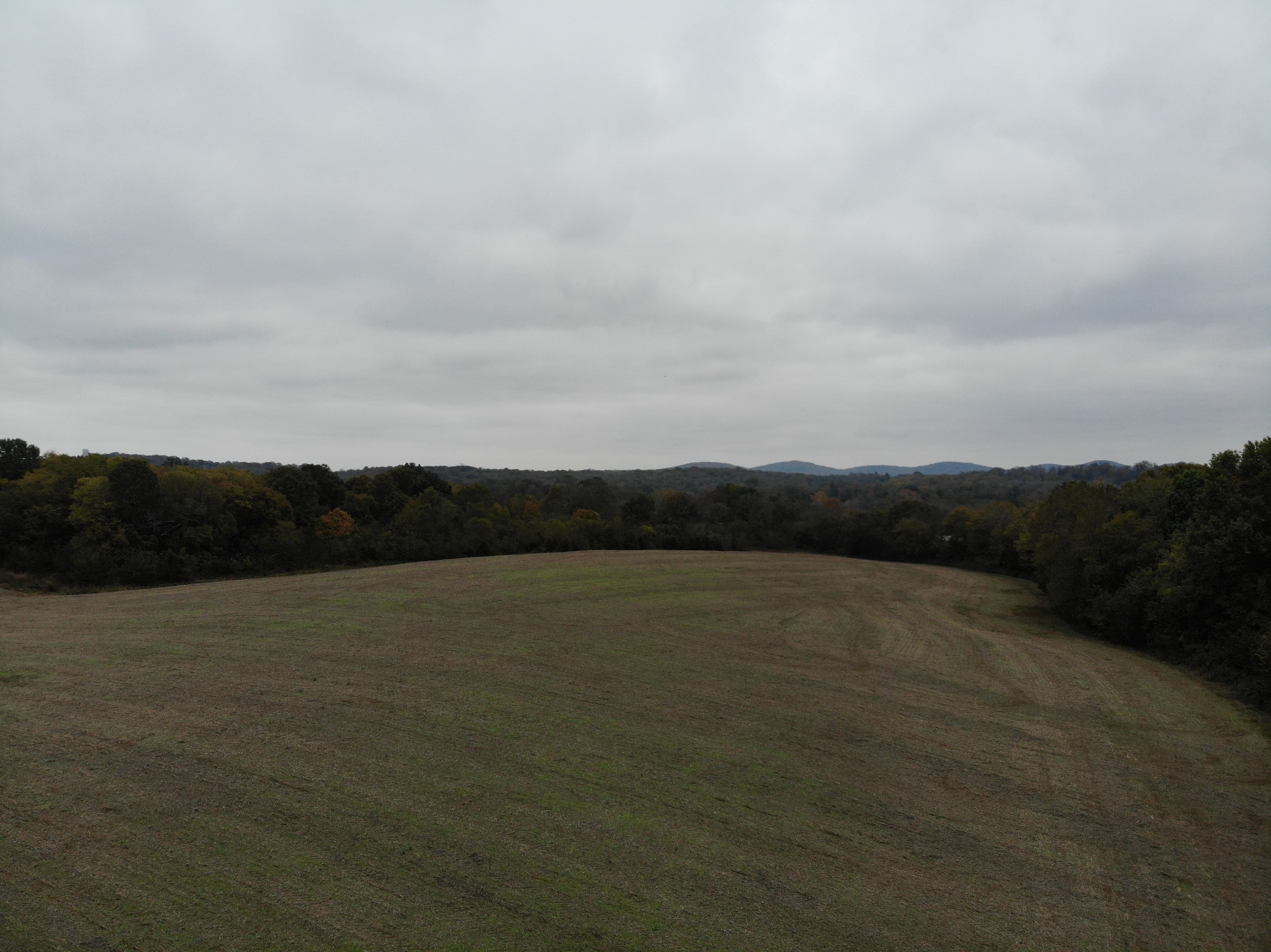 2 Battle Road Nolensville, TN 37135 - Photo 18 of 21 Gallery Image 18