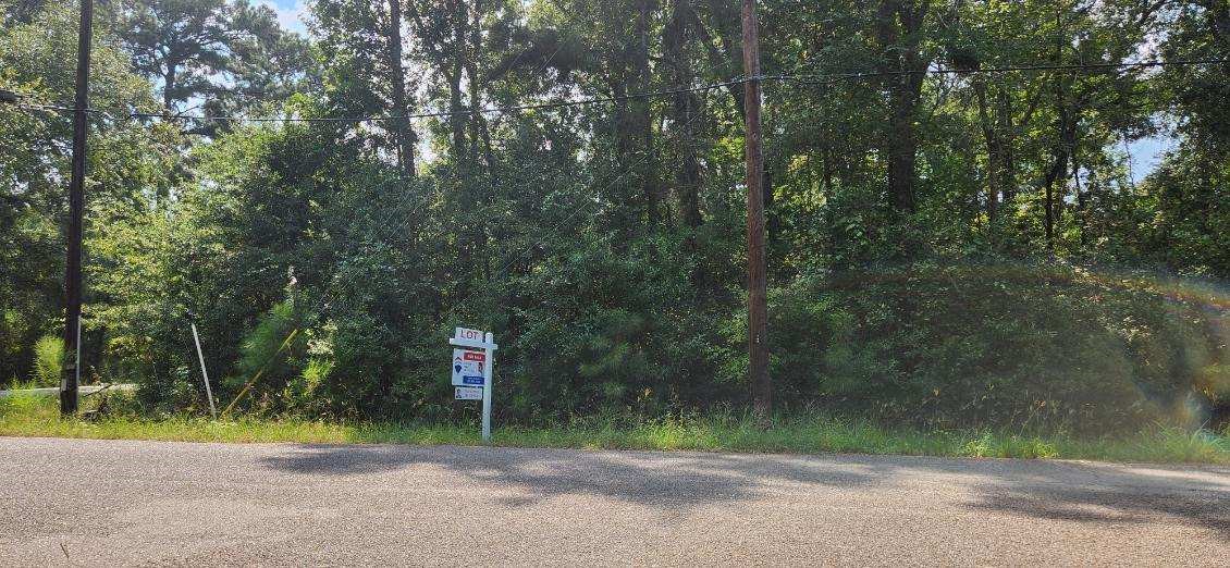 15218 Daniel Magnolia, TX 77354 - Photo 2 of 8 a green field with trees in the background