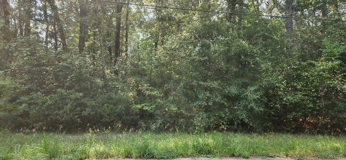 15218 Daniel Magnolia, TX 77354 - Photo 4 of 8 a view of a lush green forest with a houses