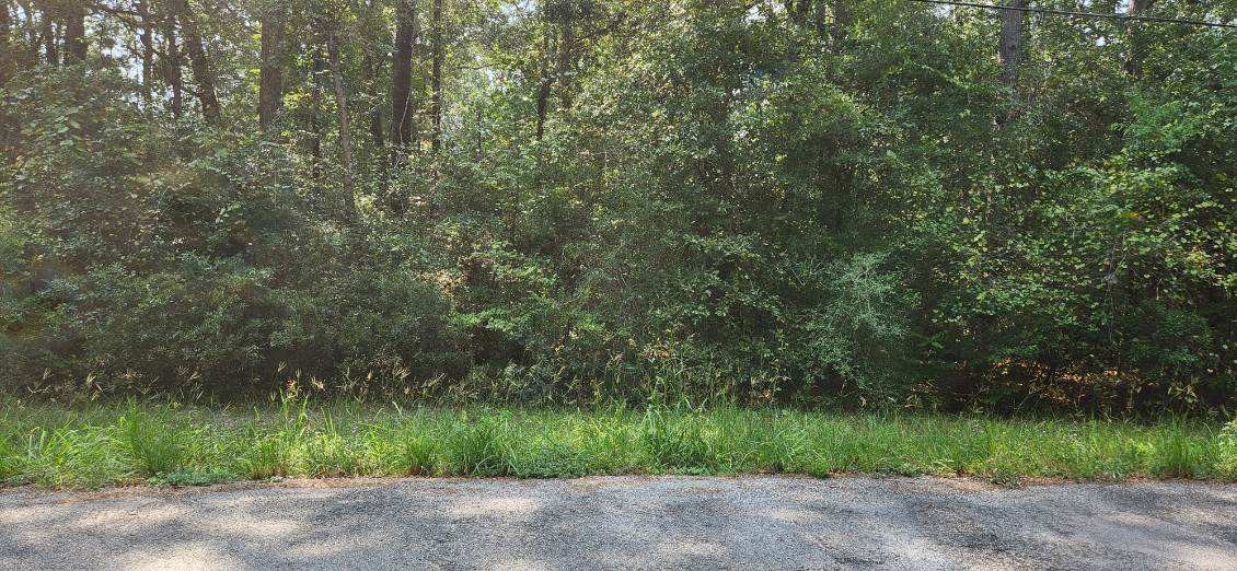 15218 Daniel Magnolia, TX 77354 - Photo 5 of 8 a view of a street with a trees in the background