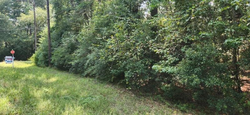 15218 Daniel Magnolia, TX 77354 - Photo 8 of 8 a view of a trees with a yard