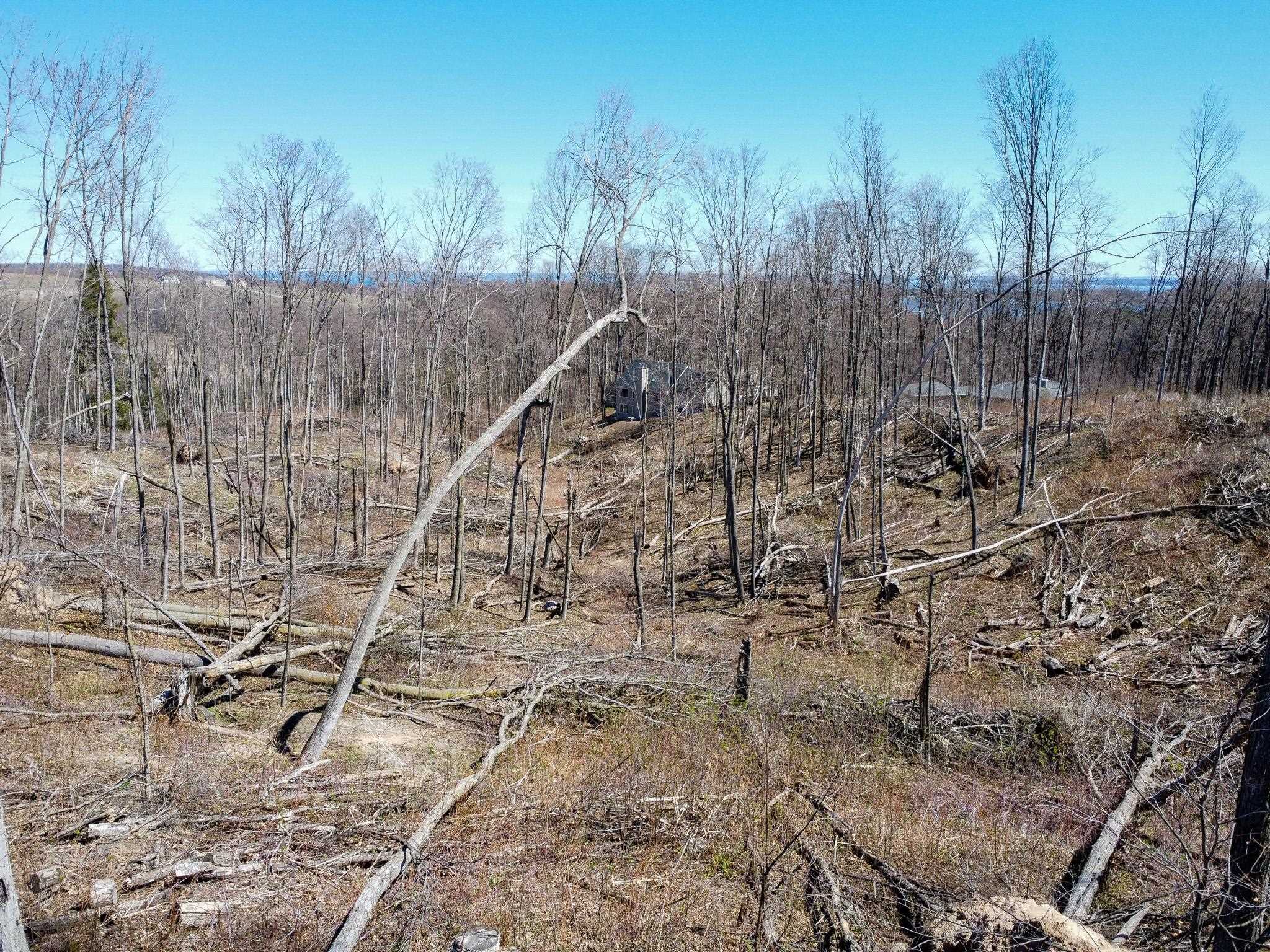 0 East Smiseth Road Suttons Bay, MI 49682 - Photo 42 of 67