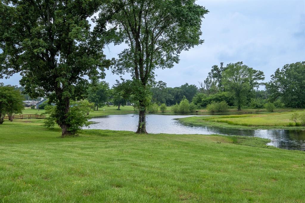 Lot 221-section Lot 221-section H Geronimo Quitman, TX 75783 - Photo 7 of 14 a view of a park with large trees