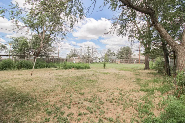 a view of a field with trees