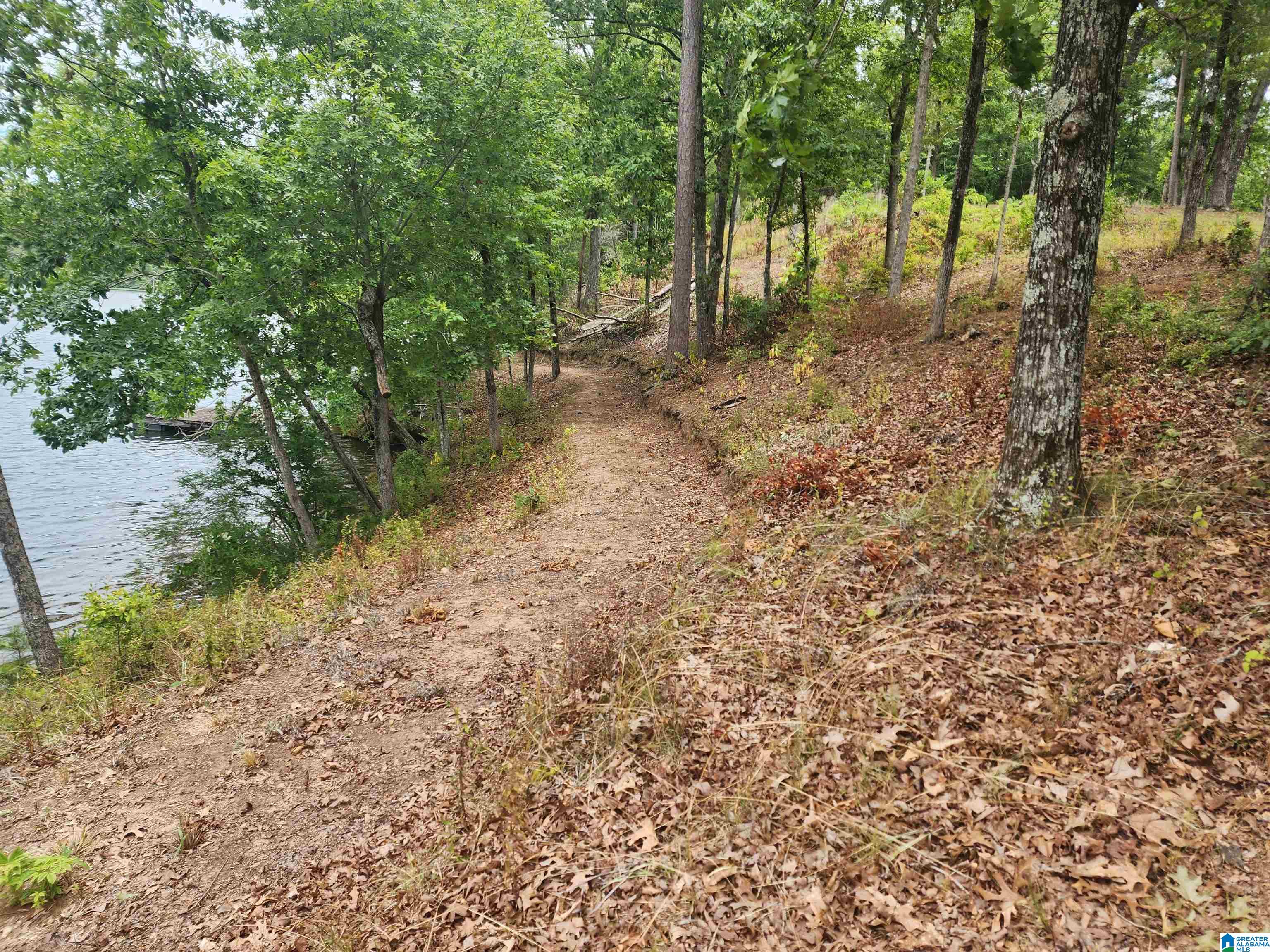 Lot 8 Eagle Mountain Road, Unit 8 Alexander City, AL 35010 - Photo 19 of 27