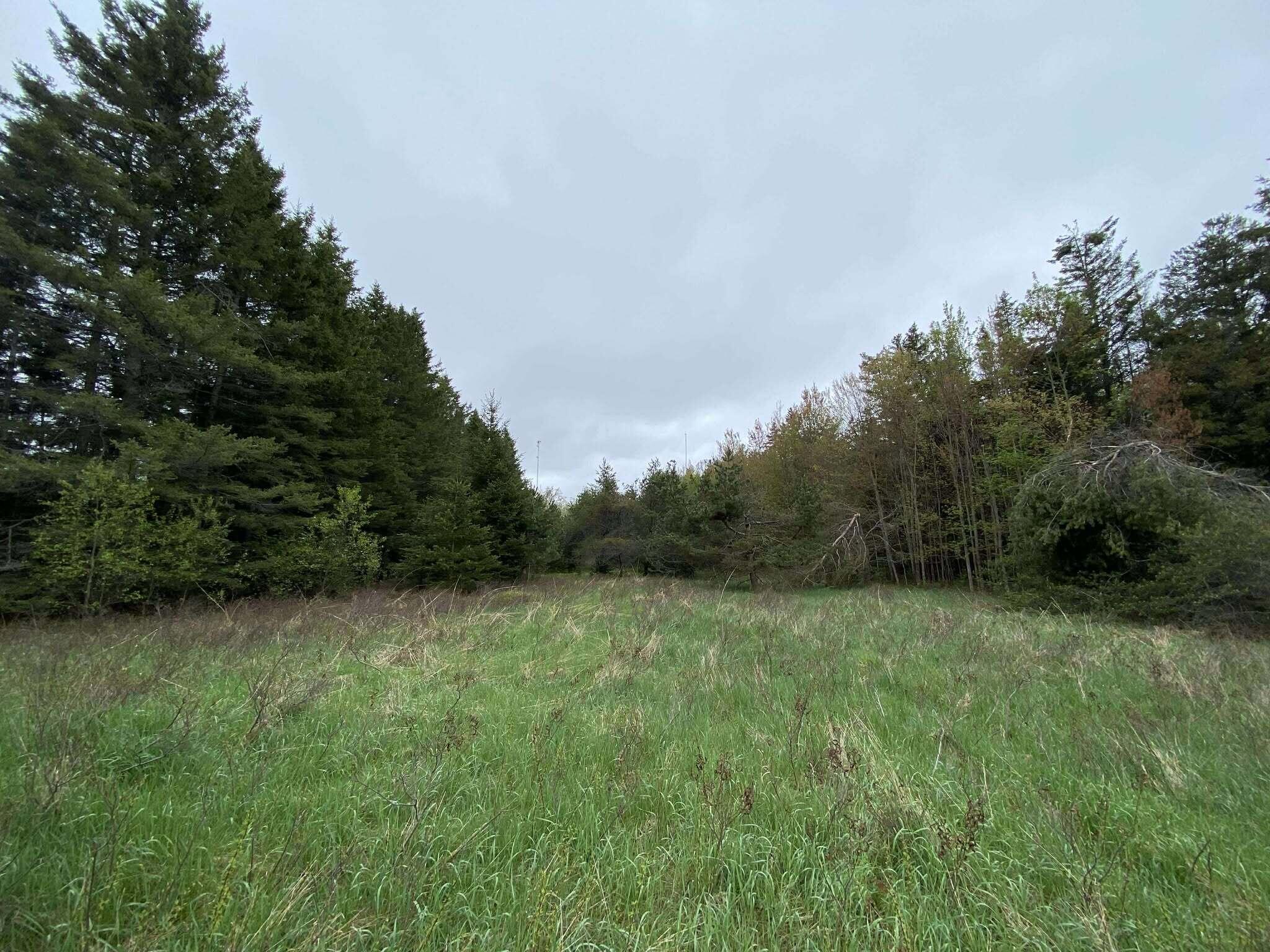 5626 Smith Road Lewiston, MI 49756 - Photo 44 of 50 31