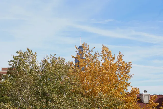 $495,000 | 1330 West Monroe Street, Unit 310, Chicago, IL 60607