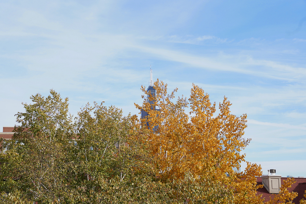 1330 West Monroe Street, Unit 310 Chicago, IL 60607 - Photo 18 of 28