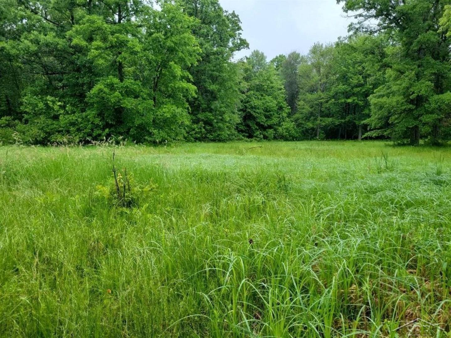 Ten South 10 Mile Road Midland, MI 48640 - Photo 23 of 31