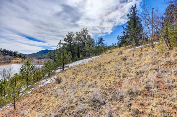 $100,000 | 147 Ward Street, Bailey, CO 80421