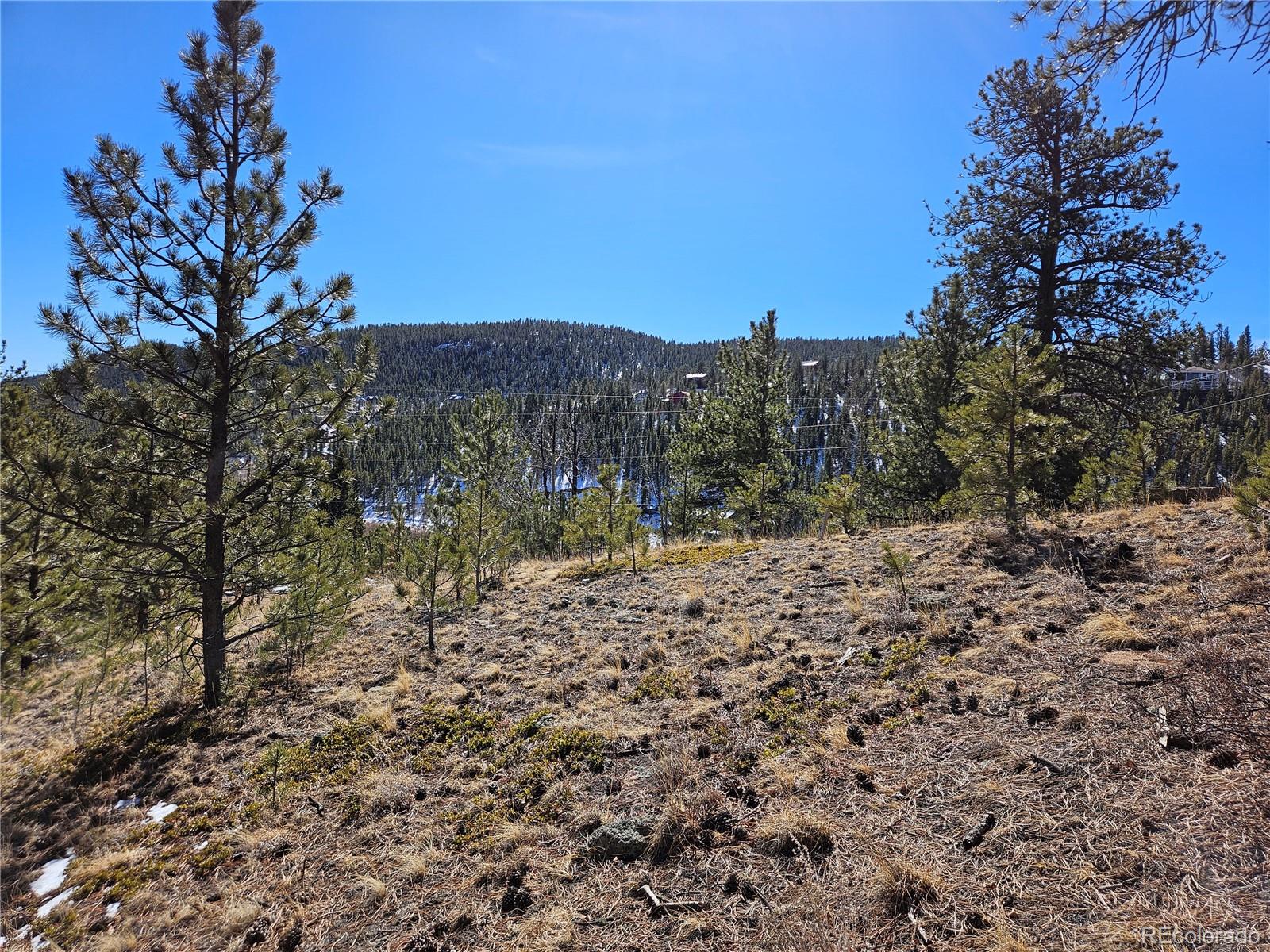 147 Ward Street Bailey, CO 80421 - Photo 12 of 15