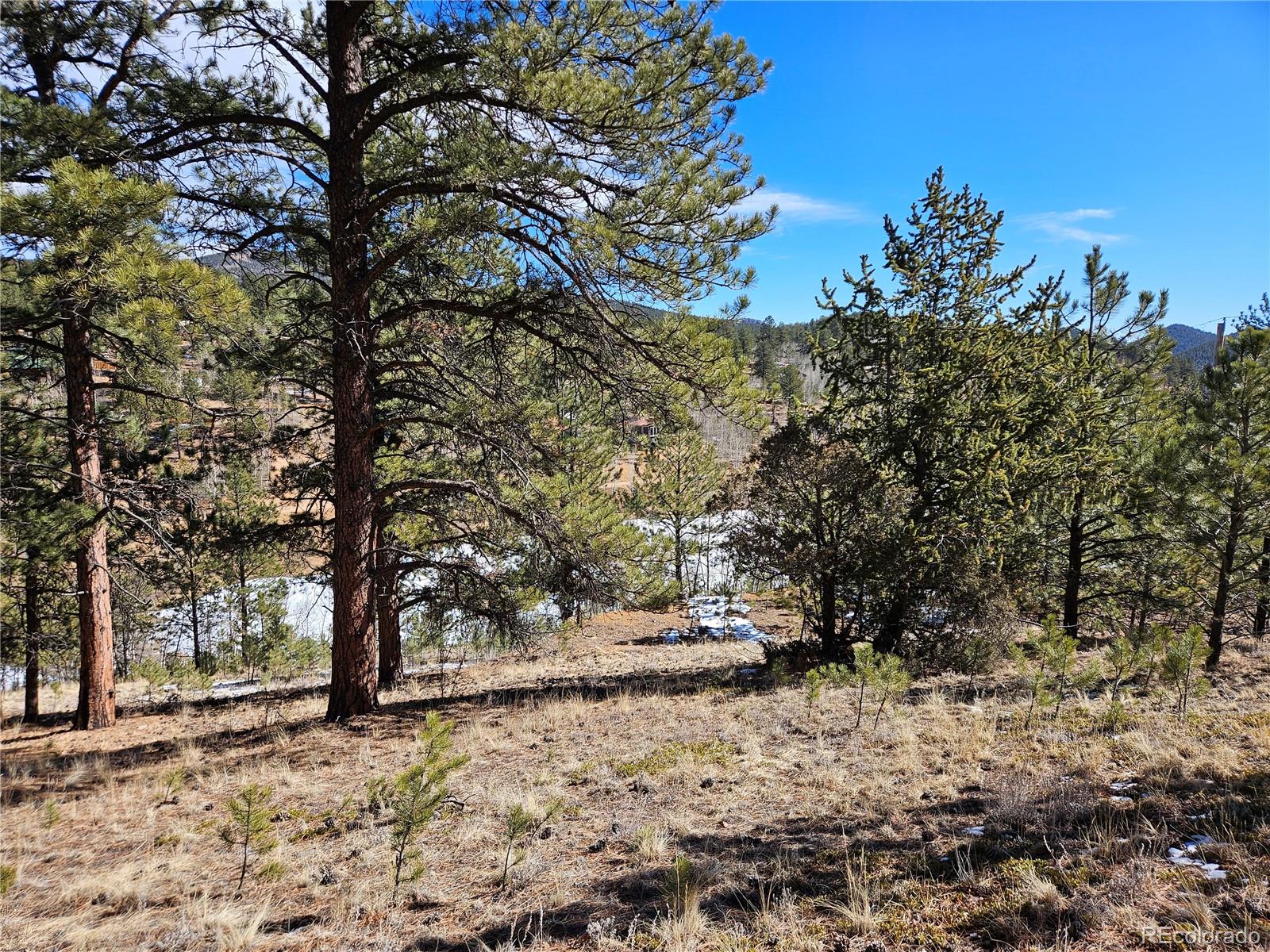 147 Ward Street Bailey, CO 80421 - Photo 13 of 15