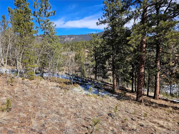 $100,000 | 147 Ward Street, Bailey, CO 80421