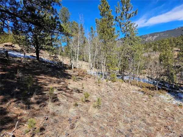 $100,000 | 147 Ward Street, Bailey, CO 80421