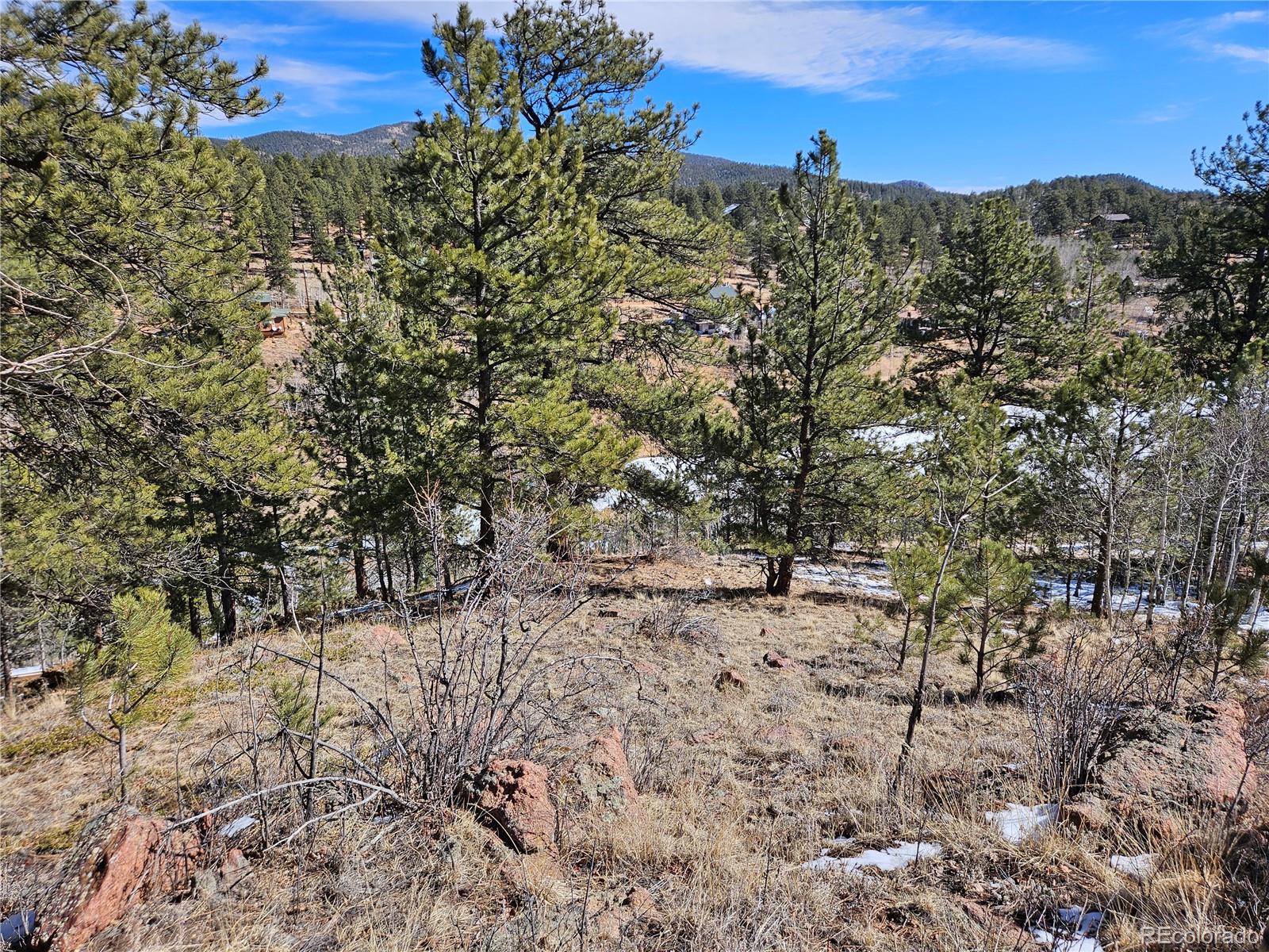 147 Ward Street Bailey, CO 80421 - Photo 4 of 15