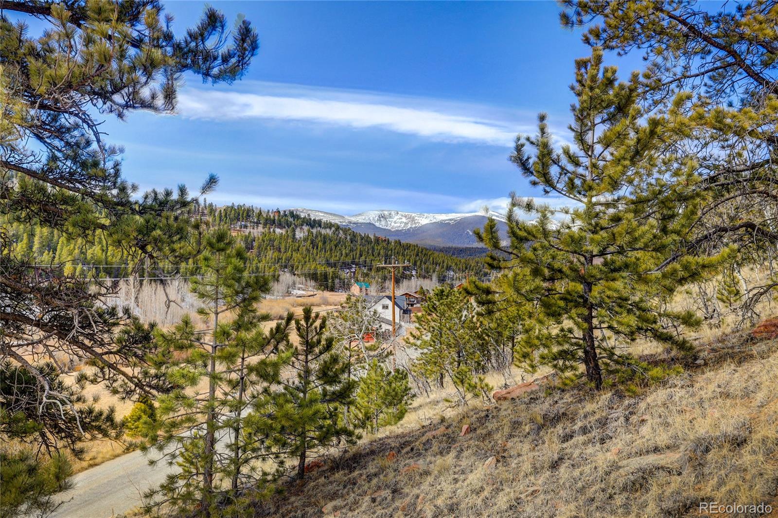 147 Ward Street Bailey, CO 80421 - Photo 5 of 15 a view of a yard with an outdoor space