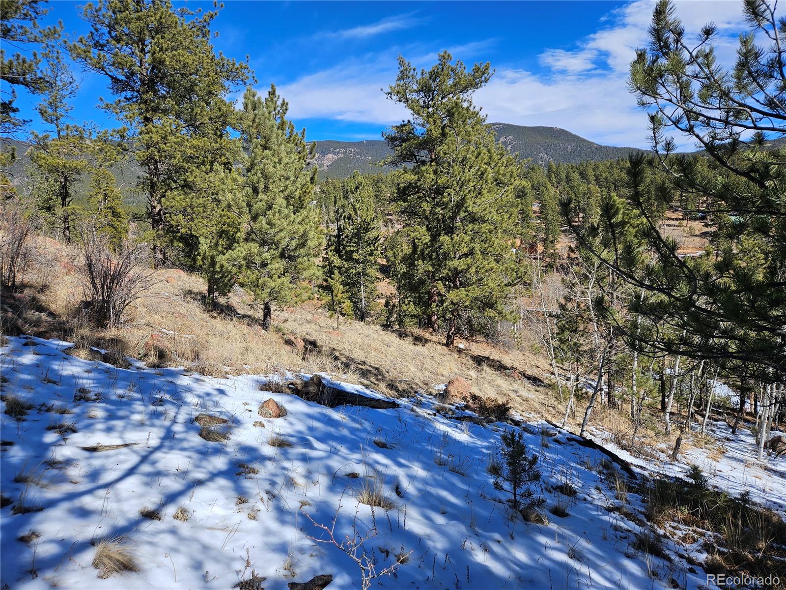 147 Ward Street Bailey, CO 80421 - Photo 7 of 15