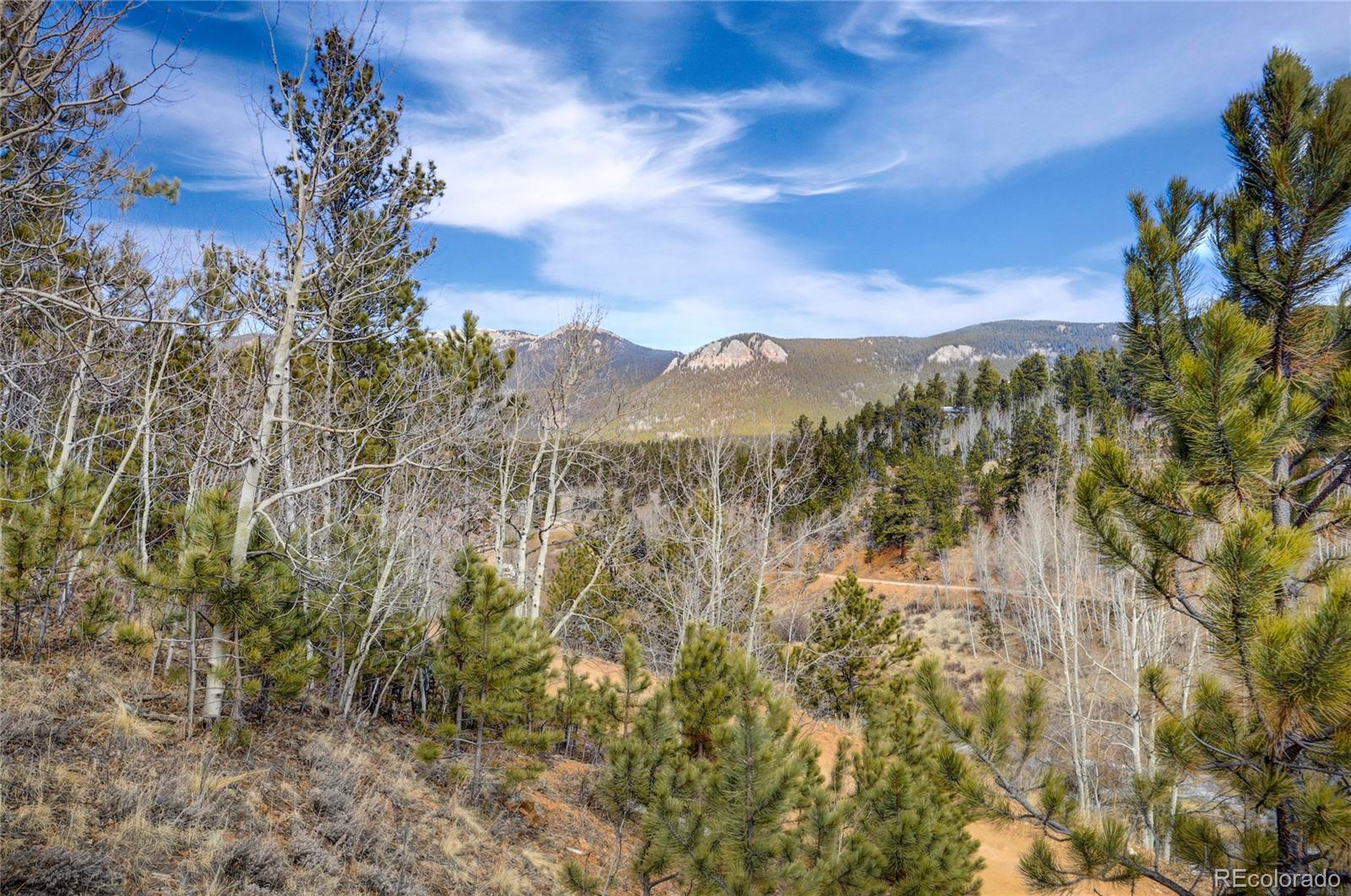 147 Ward Street Bailey, CO 80421 - Photo 8 of 15 a view of a yard with a tree