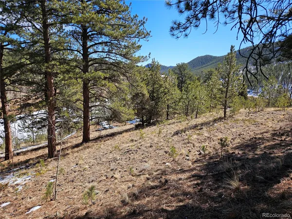 $100,000 | 147 Ward Street, Bailey, CO 80421