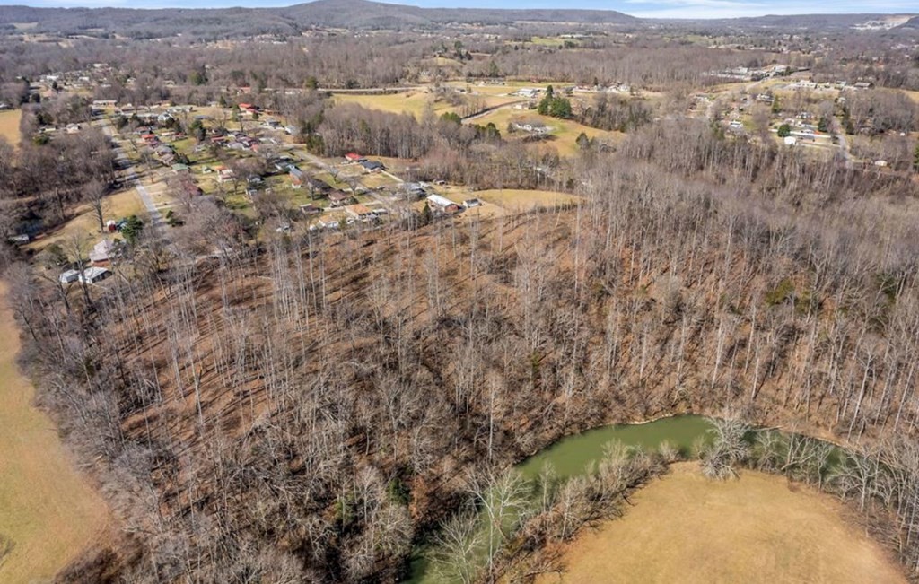 0 Forest Circle Sparta, TN 38583 - Photo 12 of 14 an aerial view of residential houses with outdoor space and trees