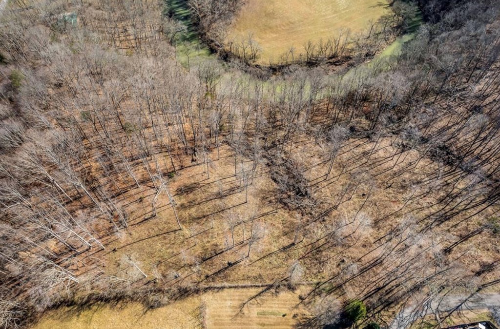 0 Forest Circle Sparta, TN 38583 - Photo 4 of 14 a view of a dry yard with green space