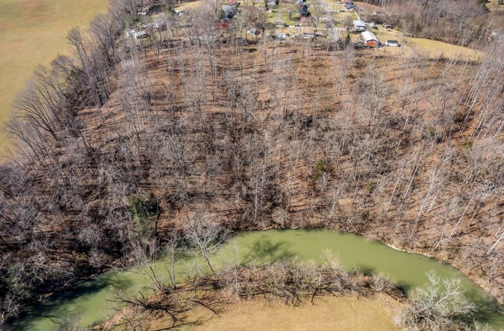 0 Forest Circle Sparta, TN 38583 - Photo 7 of 14 a view of outdoor seating area