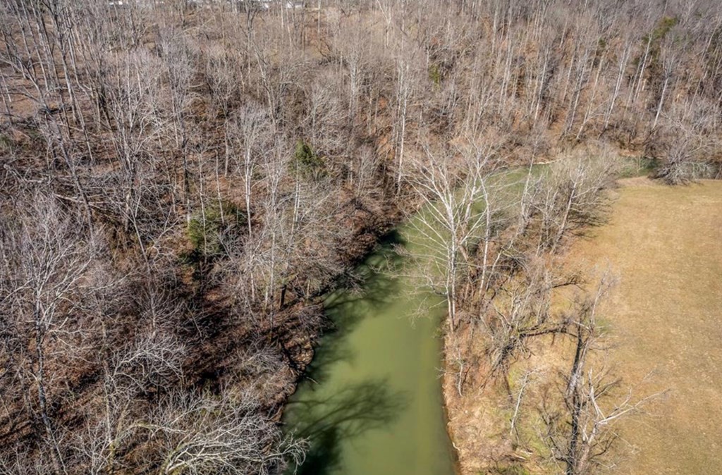 0 Forest Circle Sparta, TN 38583 - Photo 9 of 14