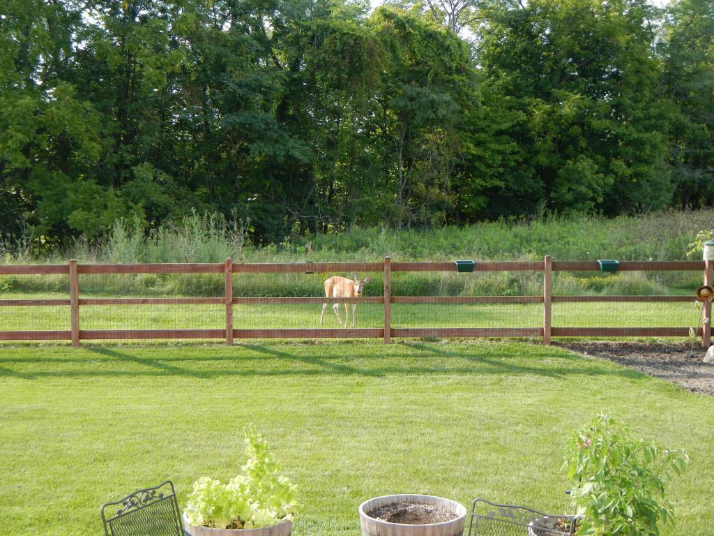 4498 Pleasant View Loop Powell, OH 43065 - Photo 51 of 59 Gallery Image 51