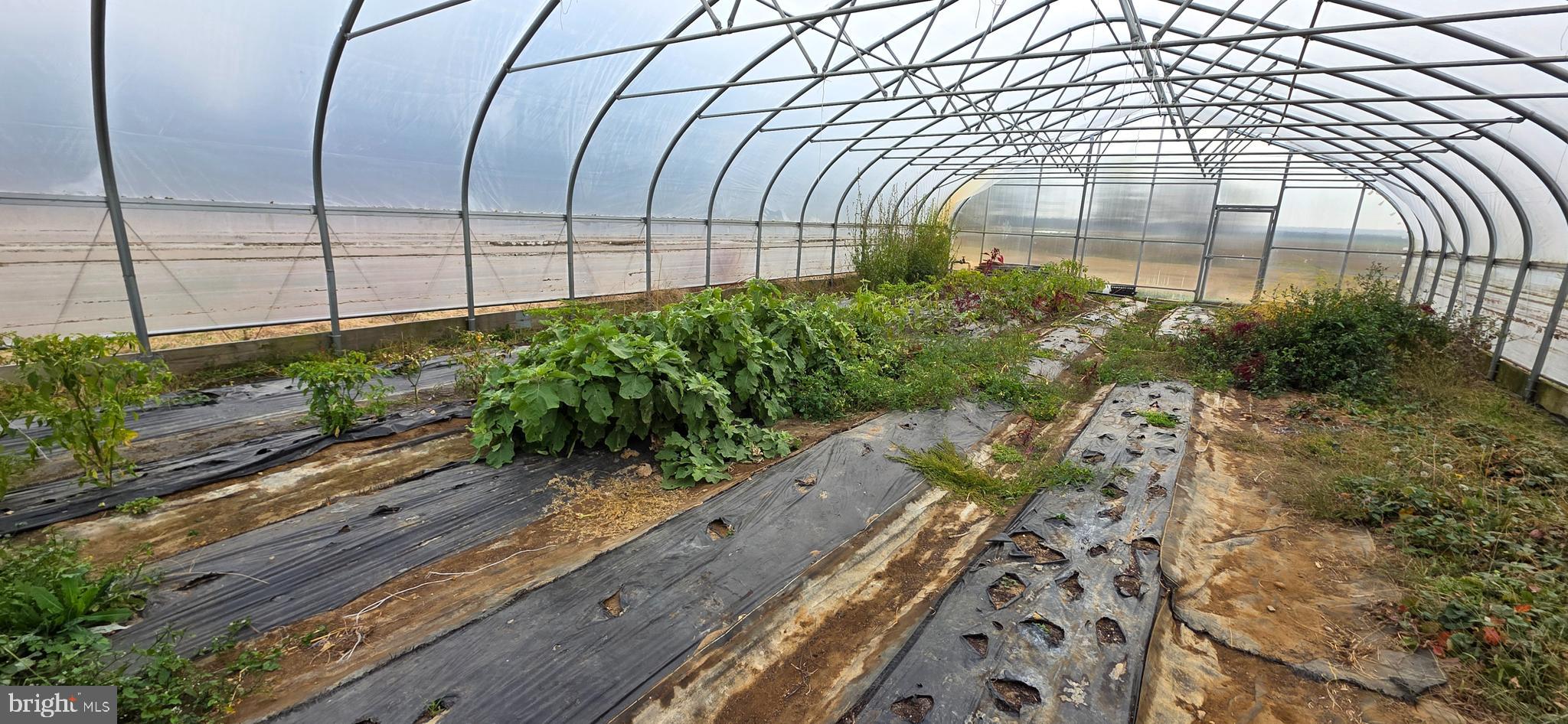 1400 Old York Road Robbinsville, NJ 08691 - Photo 17 of 18 a view of a garden