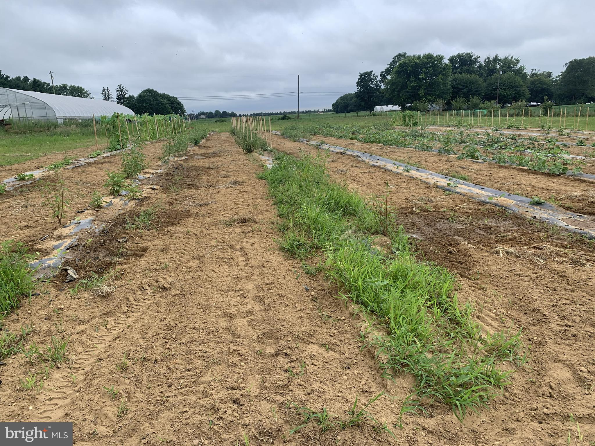 1400 Old York Road Robbinsville, NJ 08691 - Photo 7 of 18 a view of a lake with outdoor space