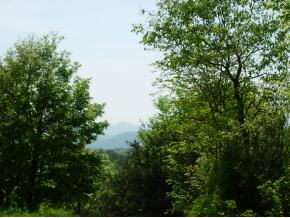 Daigneault Hill Road Orwell, VT 05760 - Photo 6 of 7 Gallery Image 6