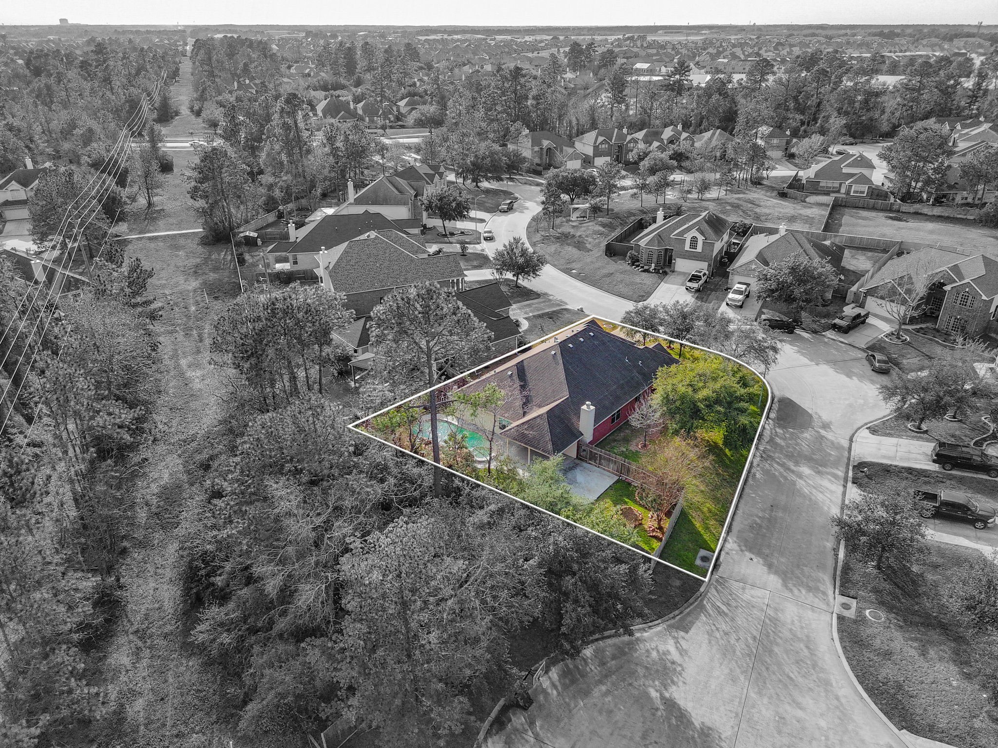 21146 Terrace Vine Lane Spring, TX 77379 - Photo 37 of 38