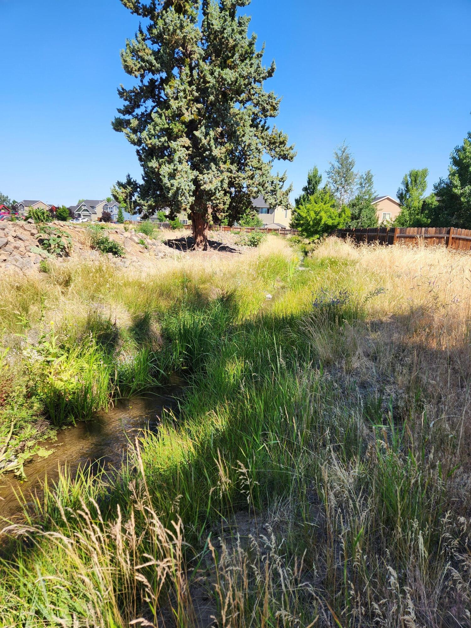 62009 Dantili Road Bend, OR 97701 - Photo 2 of 11 20230720_103922