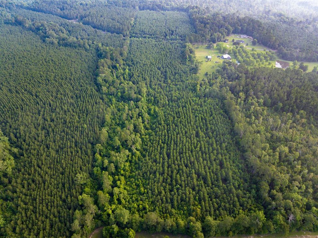 T-1 Dido Loop Pitkin, LA 70656 - Photo 9 of 13