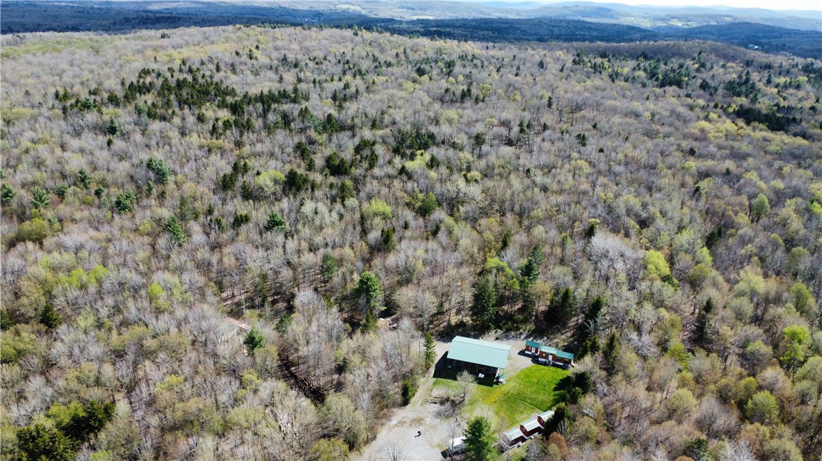 174 Peraglie Road Jefferson, NY 12093 - Photo 23 of 31